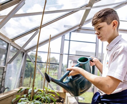 Philip Southcote School Outdoor Learning (2)